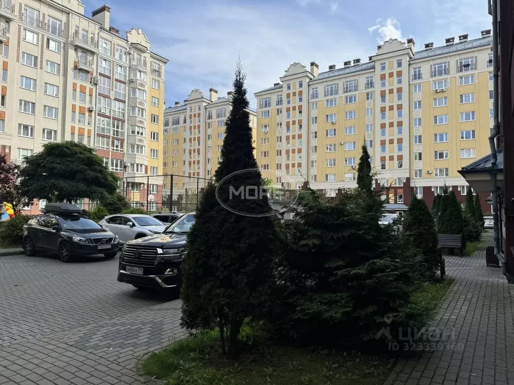 Гараж в Калининградская область, Зеленоградск ул. Валентина Мосина, 12 ... - Фото 2