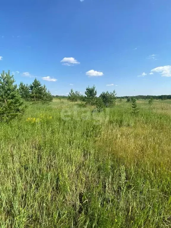 участок в челябинская область, сосновский район, кременкульское с/пос, . - Фото 1