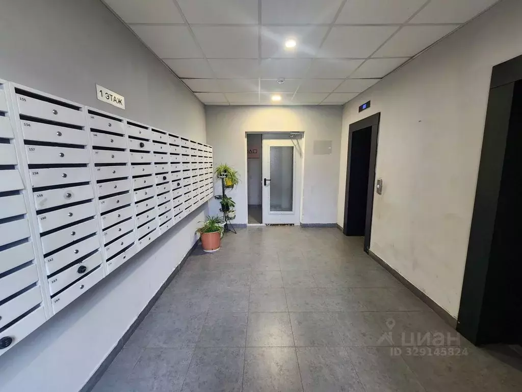 Студия Московская область, Ленинский городской округ, Боброво пгт ул. ... - Фото 2