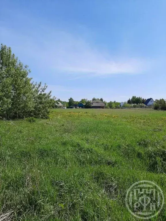 Участок в Псковская область, Гдовский район, Юшкинская волость, д. ... - Фото 1