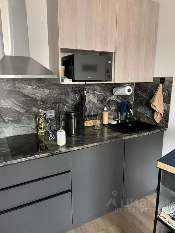 Студия Московская область, Красногорск городской округ, пос. ... - Фото 2