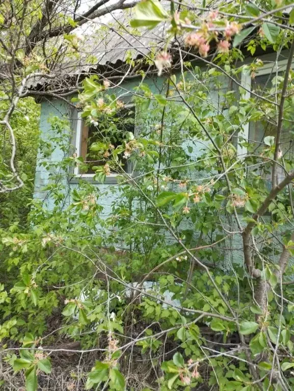 Дом в Белгородская область, Белгородский район, Никольское с/пос, с. ... - Фото 2
