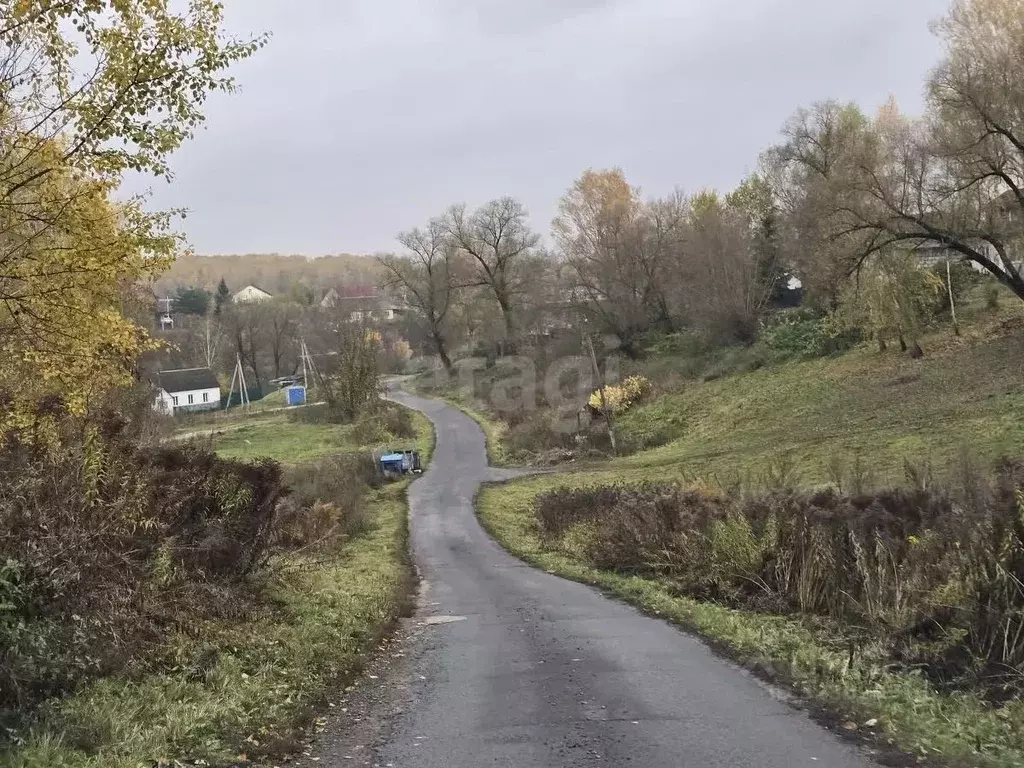Участок в Брянская область, Брянский район, Снежское с/пос, с. ... - Фото 2