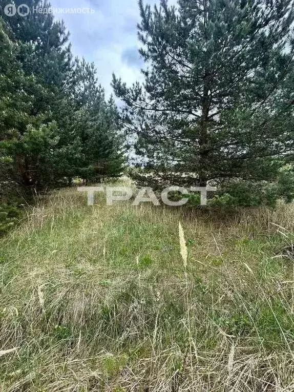 Участок в Рамонский район, Новоживотинновское сельское поселение, НСТ ... - Фото 1