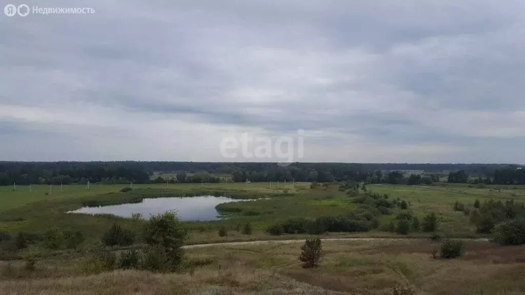 Участок в село Берёзово, Студенческая улица (40 м) - Фото 1