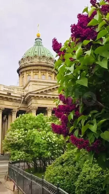 Квартира-студия, 14,5 м, 1/5 эт. - Фото 0