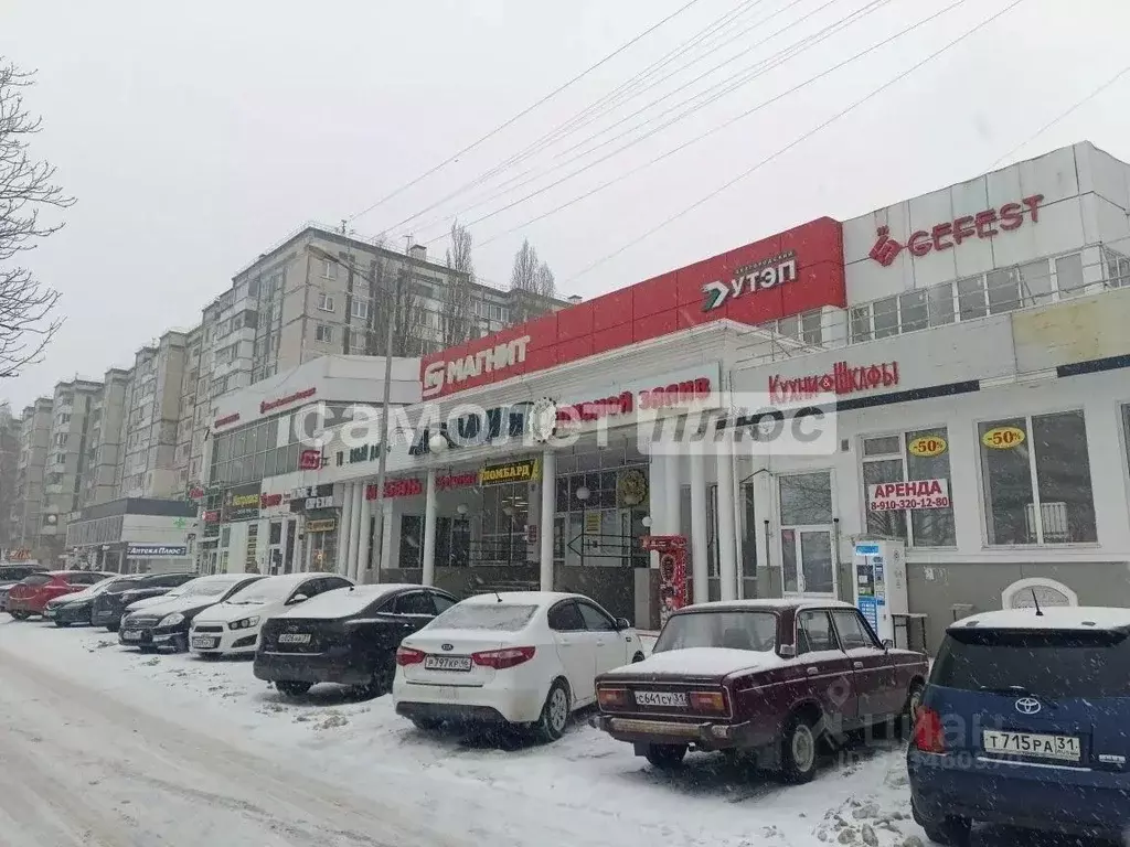 Торговая площадь в Белгородская область, Белгород ул. Губкина, 25А ... - Фото 2