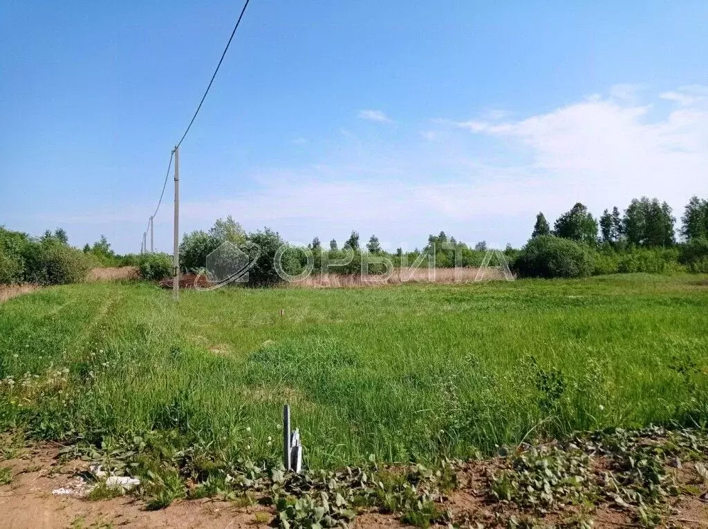 Участок в Тюменская область, Тюмень Садовое товарищество Липовый ... - Фото 1