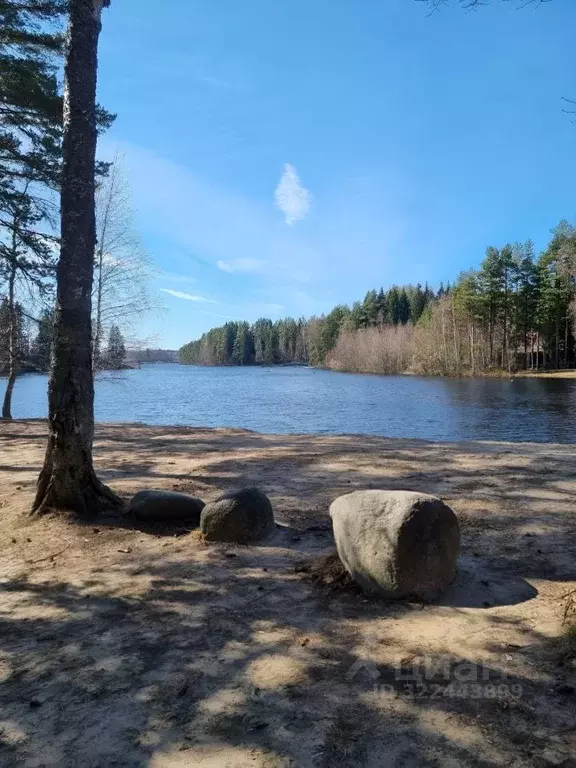Участок в Ленинградская область, Выборгский район, Рощино пгт пер. ... - Фото 1