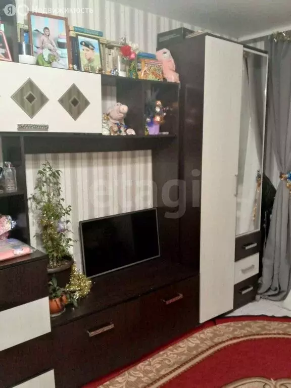 3-комнатная квартира: село Петровка, Центральная улица, 11 (64 м) - Фото 1