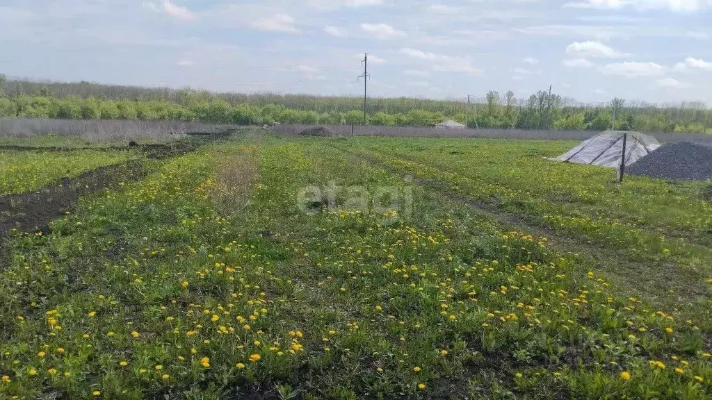 Участок в Белгородская область, Белгородский район, Дубовское с/пос, ... - Фото 1