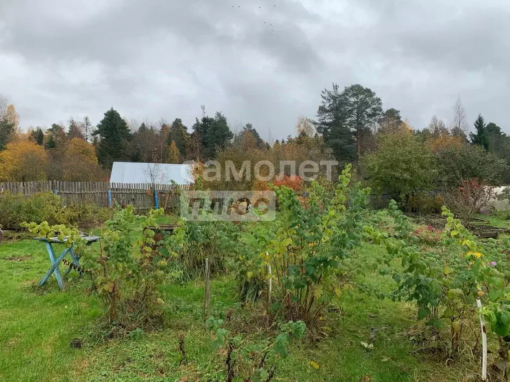 Участок в Вологодская область, пос. Перьево  (11.15 сот.) - Фото 2