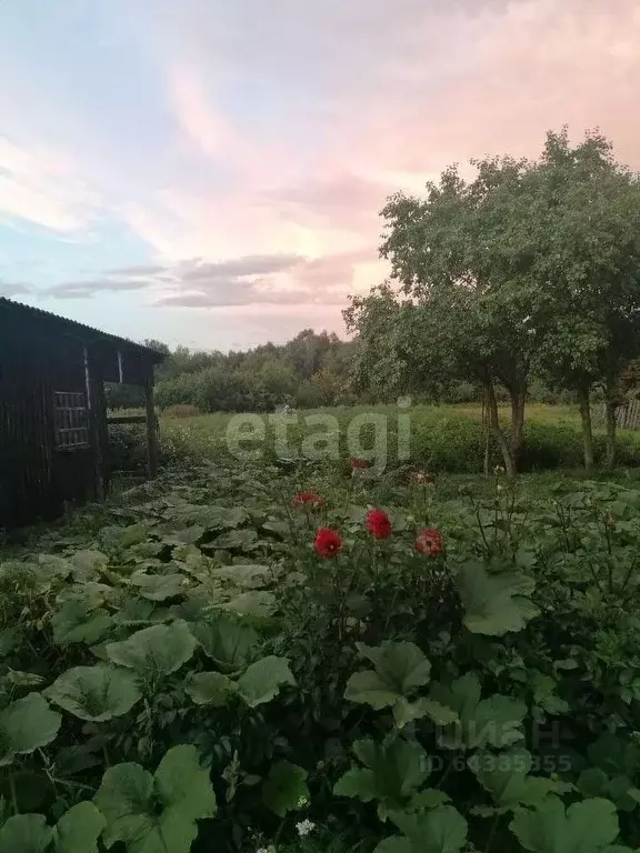 Дом в Алтайский край, Смоленский район, с. Катунское ул. Мальцева, 103 ... - Фото 1