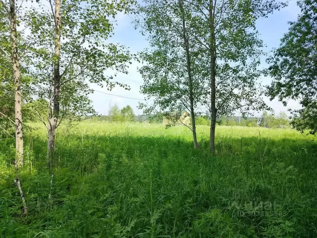 Участок в Московская область, Солнечногорск городской округ, Сергеевка ... - Фото 1