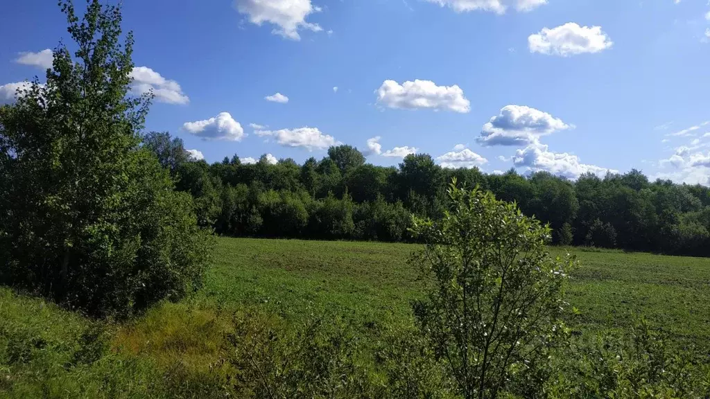Участок в Ярославская область, Рыбинский муниципальный округ, д. ... - Фото 1