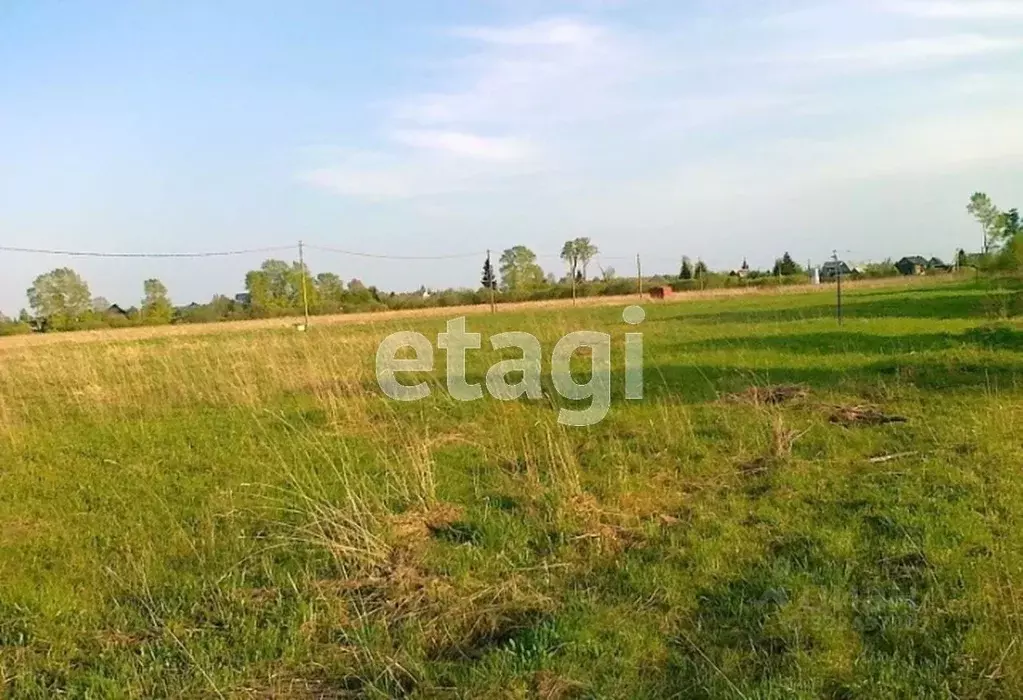 Участок в Вологодская область, Грязовецкий муниципальный округ, ... - Фото 2