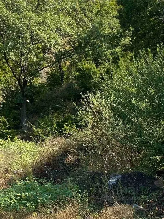 Участок в Крым, Ялта ул. Белобродского, 11 (10.0 сот.) - Фото 0