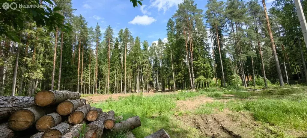 Участок в Всеволожский район, Сертолово (13.09 м) - Фото 1