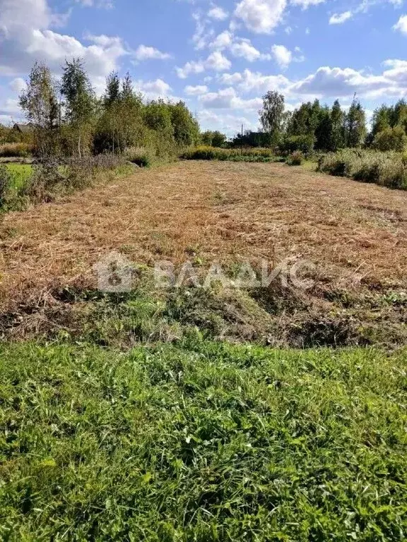 Участок в Ивановская область, Ивановский район, Беляницкое с/пос, с. ... - Фото 1