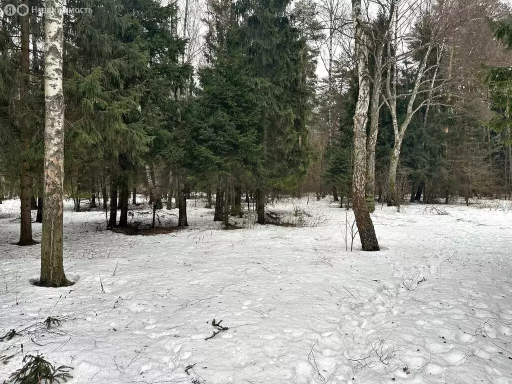 Участок в Московская область, городской округ Ступино, деревня ... - Фото 0