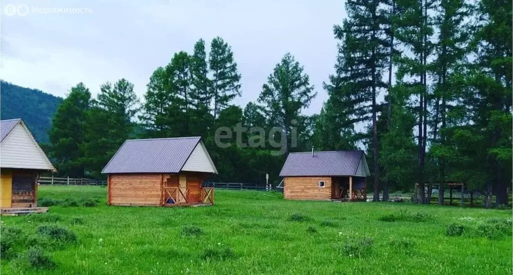 Участок в Онгудайский район, село Теньга (61 м) - Фото 0