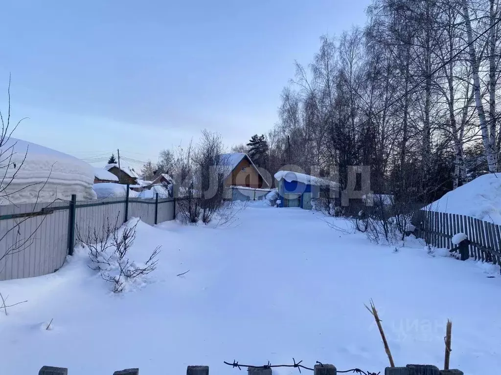 Участок в Новосибирская область, Новосибирск Сибирский Мичуринец СНТ, ... - Фото 2