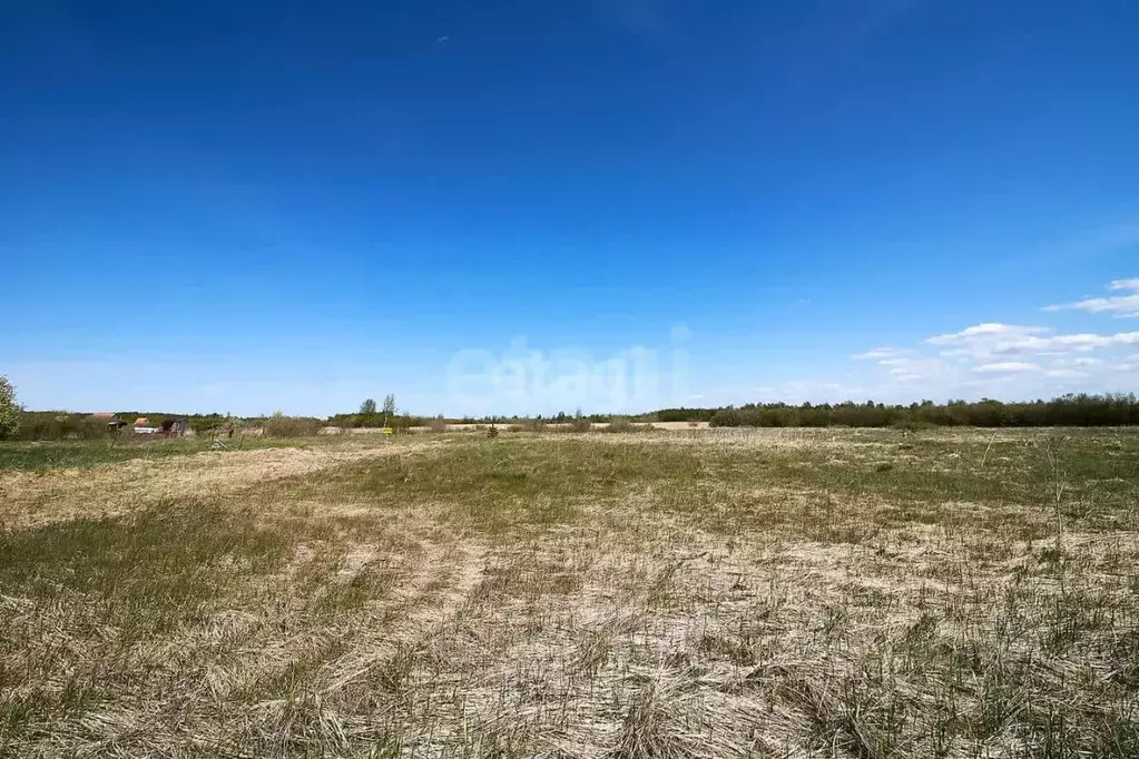 Участок в Тюменская область, Тюменский муниципальный округ, ... - Фото 1