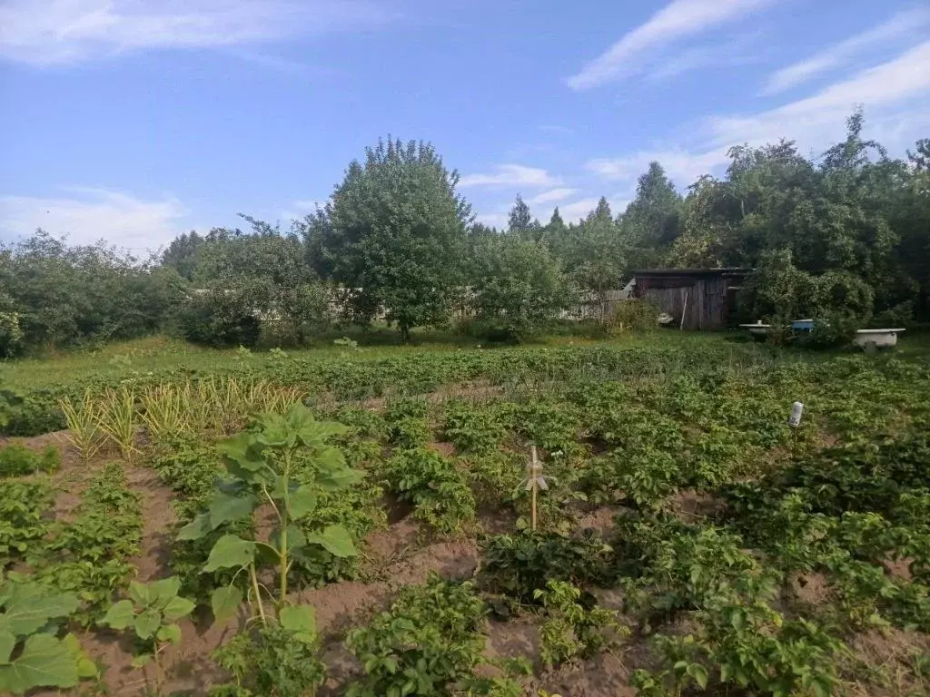 Участок в Нижегородская область, Шатковский муниципальный округ, с. ... - Фото 1