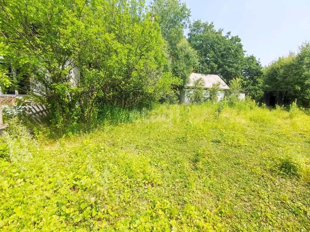 Участок в Амурская область, Благовещенский район, с. Новопетровка ... - Фото 1