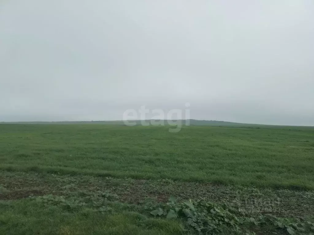 Участок в Крым, Ленинский район, Семисотское с/пос, с. Каменское ул. ... - Фото 1