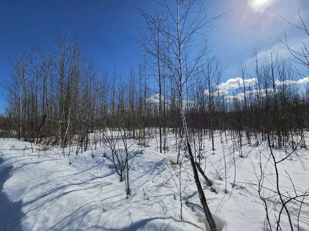 Участок в Ханты-Мансийский АО, Ханты-Мансийского муниципального района ... - Фото 1