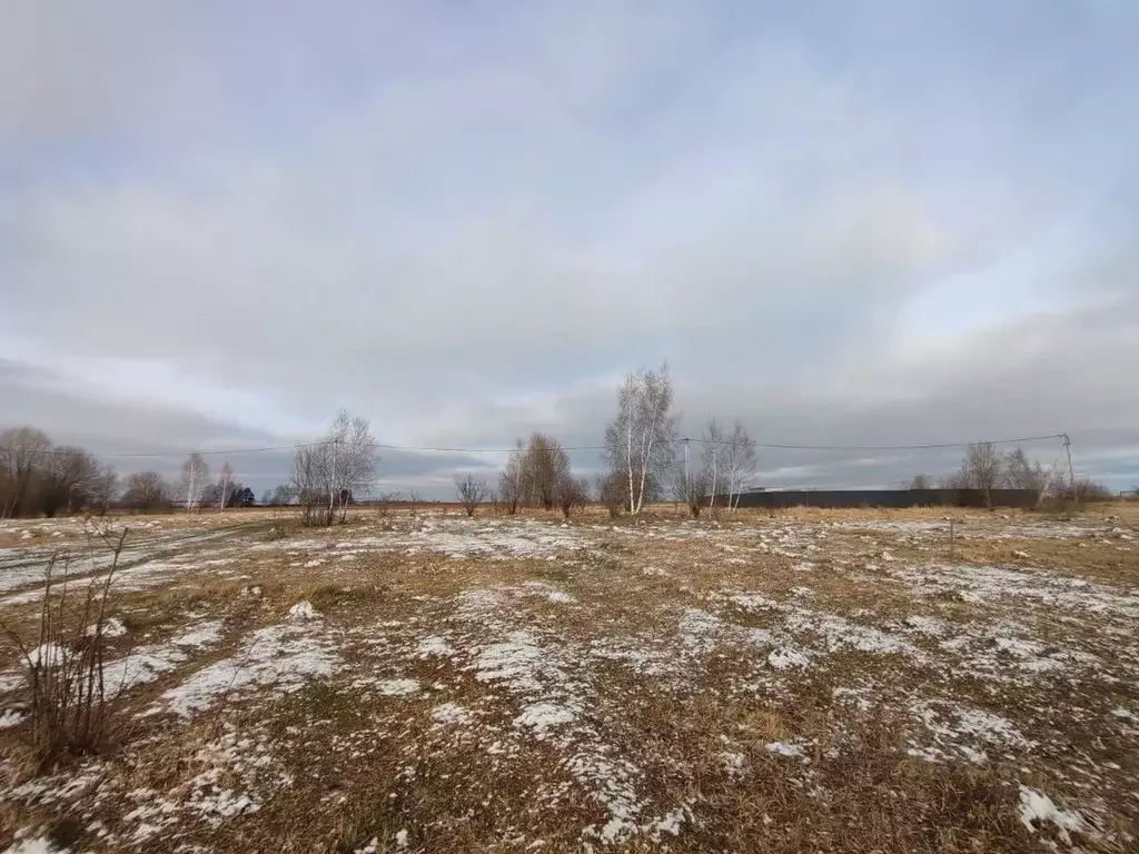 Участок в Московская область, Серпухов городской округ, д. Шепилово  ... - Фото 0