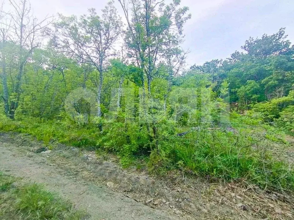 Участок в Крым, Алушта городской округ, с. Малый Маяк  (8.0 сот.) - Фото 0