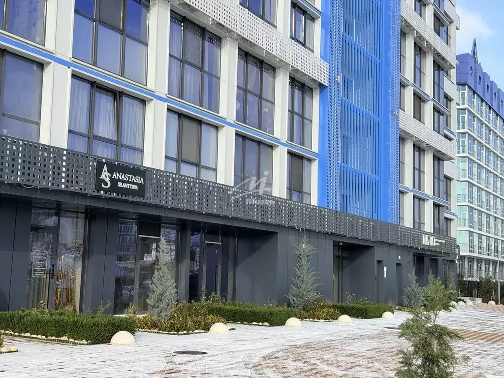 Помещение свободного назначения в Севастополь ул. Парковая, 15 (55 м) - Фото 1