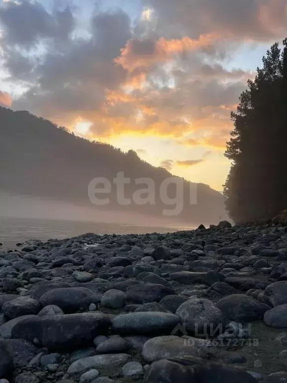 Участок в Алтай, Чемальский район, с. Анос Центральная ул., 41 (10.0 ... - Фото 2