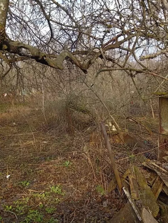 Участок, 3 сот., поселения (ижс) - Фото 1