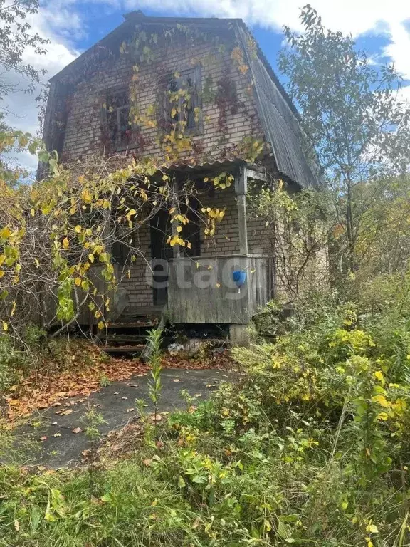 Дом в Приморский край, Надеждинский район, Союз СДТ  (42 м) - Фото 0