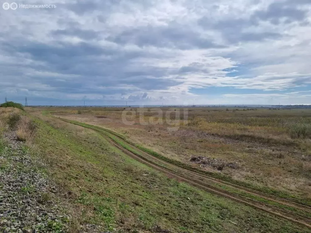 Участок в Синицыно, улица Евдокимова (2812 м) - Фото 1