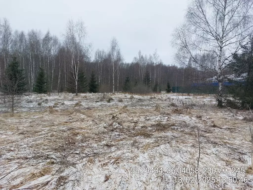 Участок в Московская область, Наро-Фоминский городской округ, д. ... - Фото 1