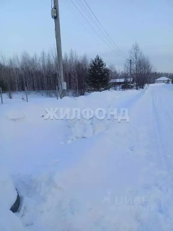 Участок в Новосибирская область, Мошковский район, Индия кп, ... - Фото 2