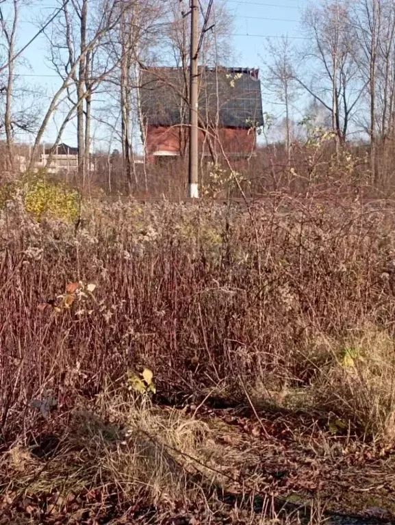 Участок в Калининградская область, Гурьевский муниципальный округ, ... - Фото 2