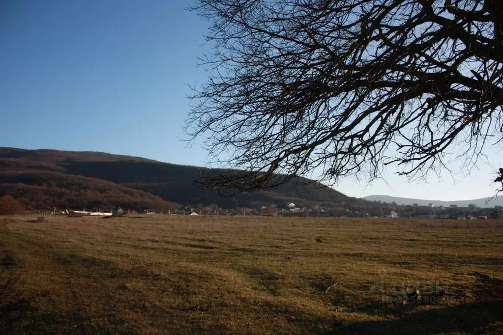 Участок в Севастополь с. Орлиное, Новый мкр, пер. Ровный (164.0 сот.) - Фото 2