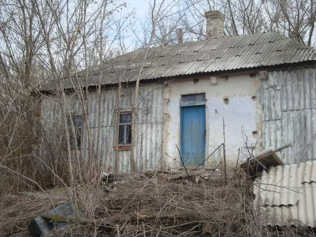 Дом в Воронежская область, Хохольский район, с. Староникольское  (35 ... - Фото 0