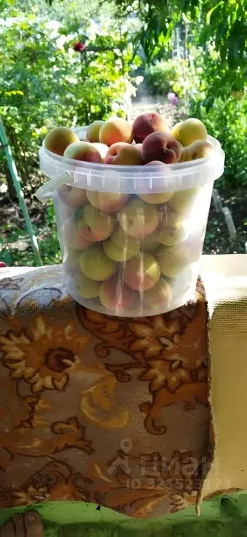 Дом в Белгородская область, Белгородский район, Беломестненское с/пос, ... - Фото 1