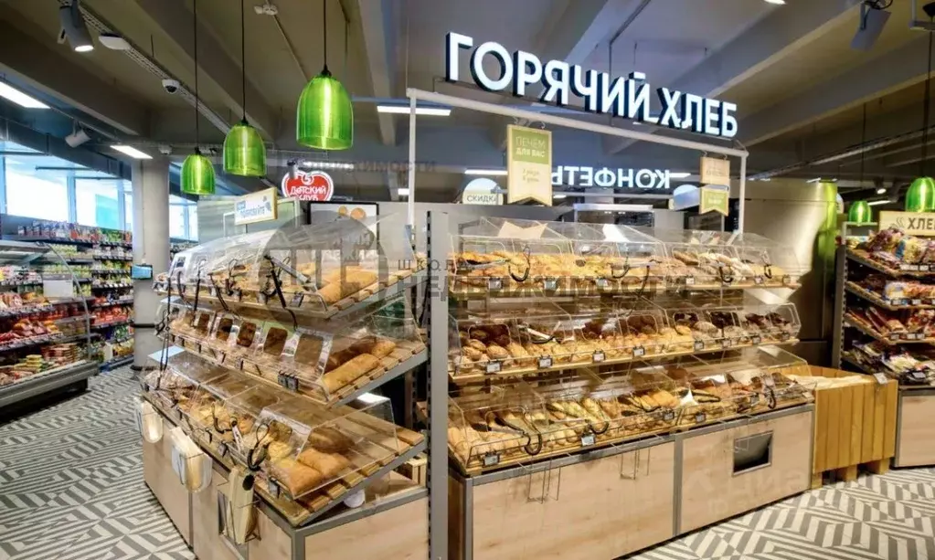 Помещение свободного назначения в Ленинградская область, Тосно г. ... - Фото 1