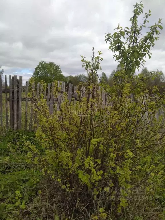 Участок в Марий Эл, Медведевский район, Люльпанское с/пос, д. Малая ... - Фото 0