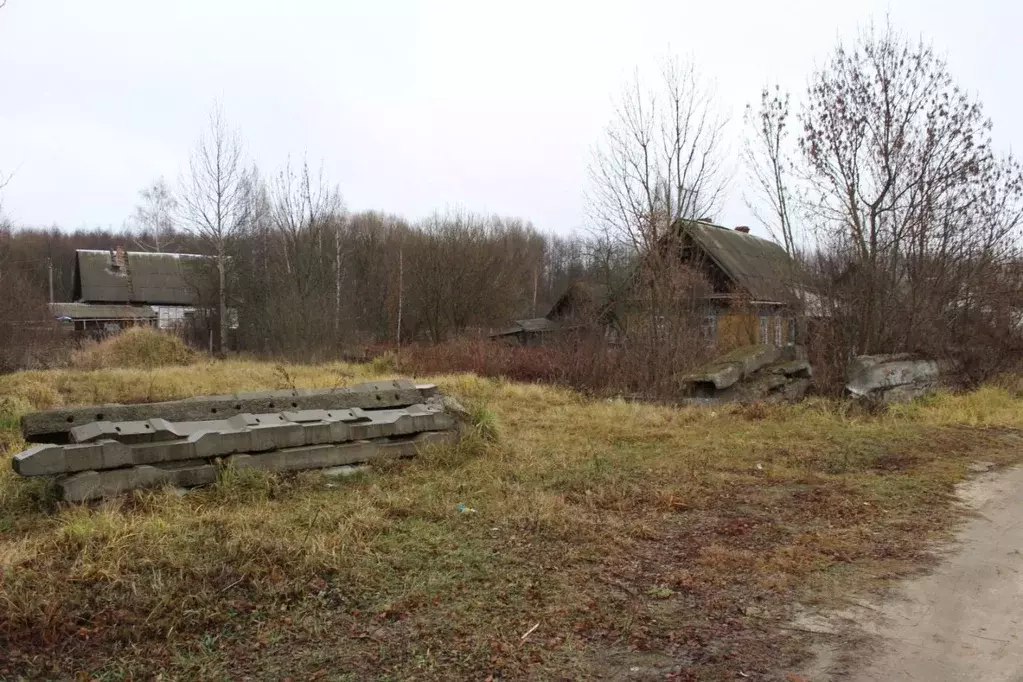 Участок в Брянская область, Навля рп ул. Луговая (12.0 сот.) - Фото 0