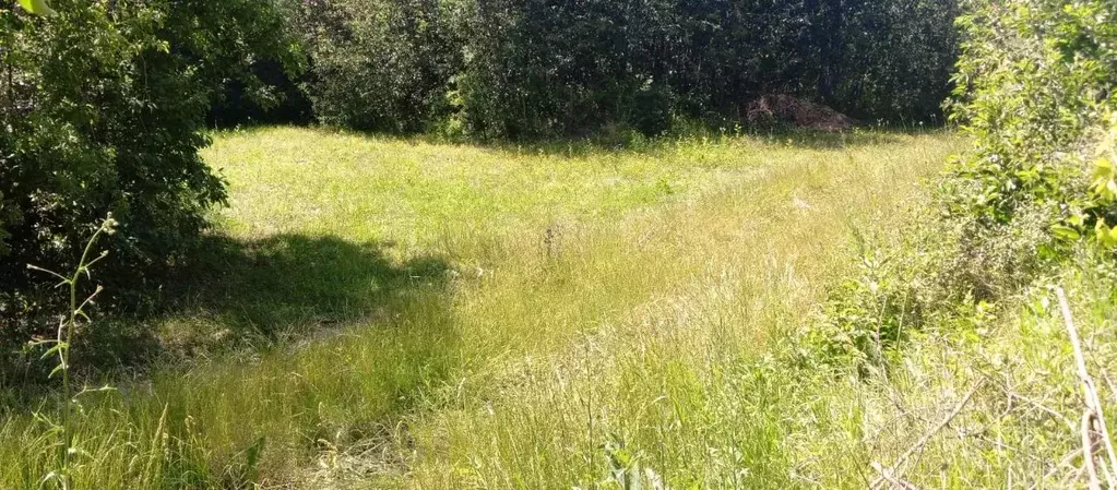 Участок в Крым, Симферопольский район, Добровское с/пос, Мраморное ... - Фото 1