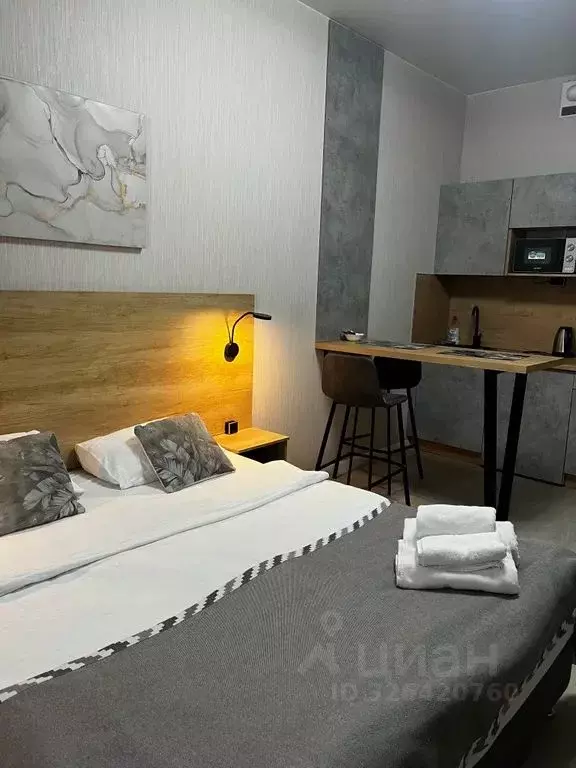 Студия Санкт-Петербург Пулковское ш., 14с6 (27.0 м) - Фото 2