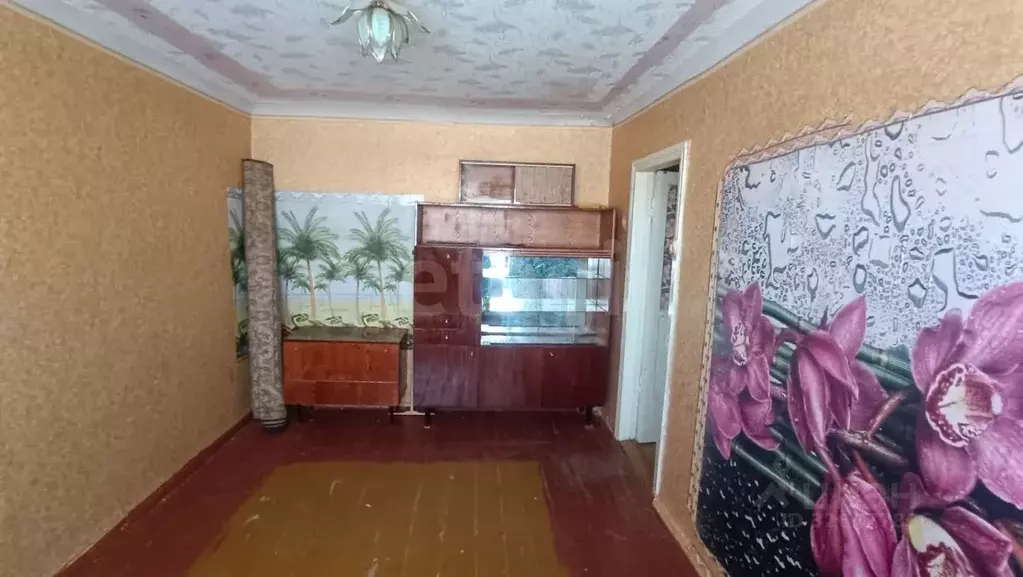 2-к кв. Саратовская область, Балашов Нефтяная ул., 56 (32.4 м) - Фото 2